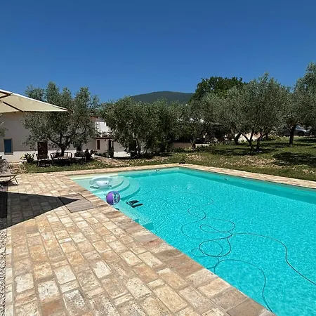 Uliveto Benedetti * スポレート