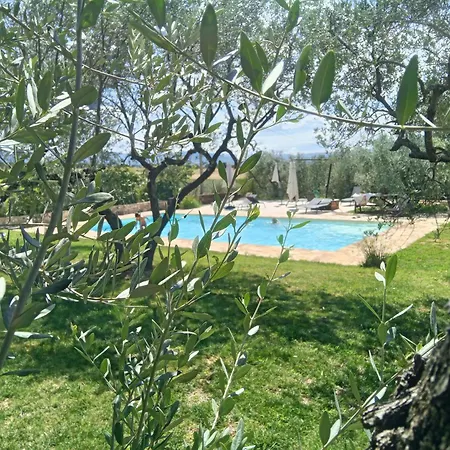 Apartamento Uliveto Benedetti *